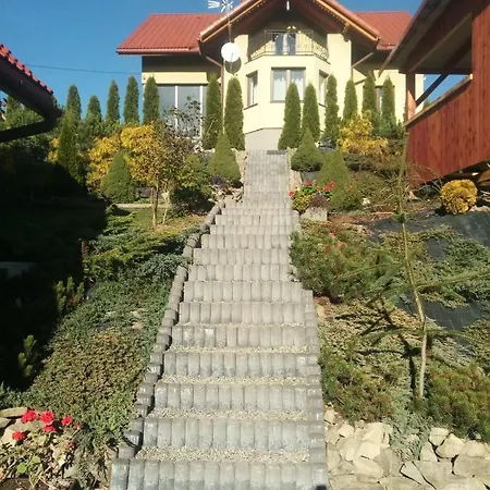 U Rysia * Krzyzowki