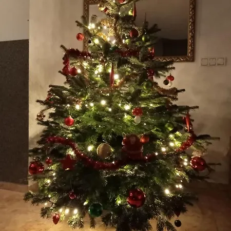 U Rysia * Krzyzowki