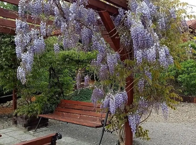 Farma U Rysia Korbielów