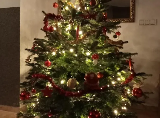 U Rysia * Korbielów